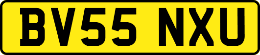BV55NXU