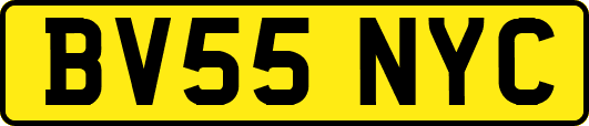 BV55NYC