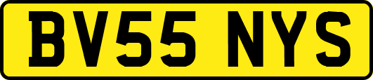 BV55NYS