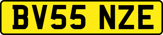 BV55NZE
