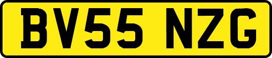 BV55NZG