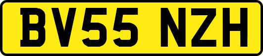 BV55NZH