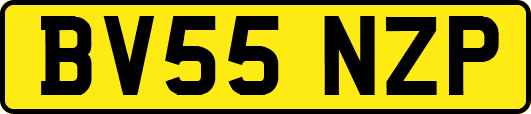 BV55NZP
