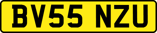 BV55NZU