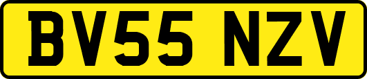 BV55NZV