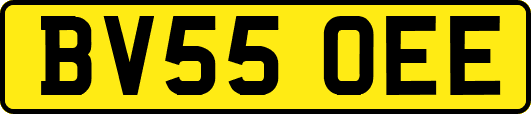 BV55OEE