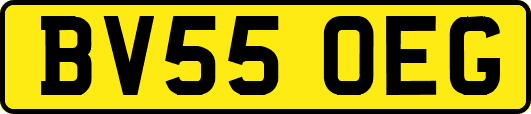 BV55OEG