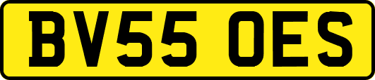 BV55OES