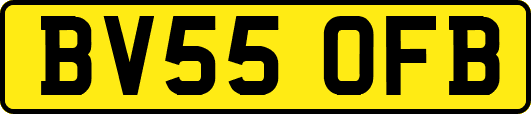 BV55OFB