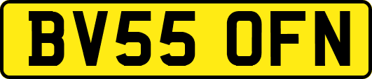 BV55OFN