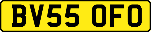 BV55OFO