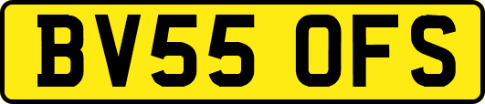BV55OFS