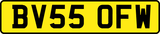 BV55OFW