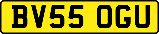 BV55OGU