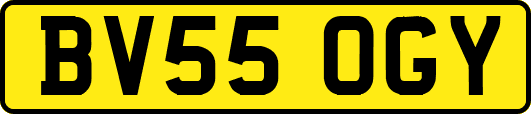 BV55OGY