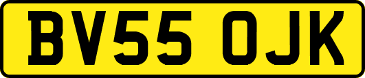 BV55OJK