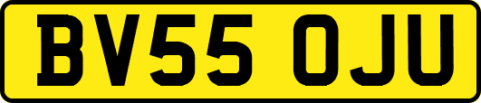 BV55OJU