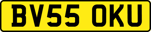 BV55OKU