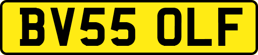 BV55OLF