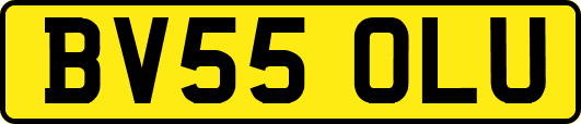 BV55OLU