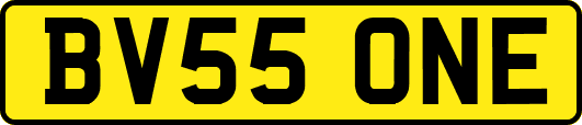 BV55ONE