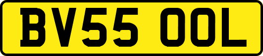BV55OOL