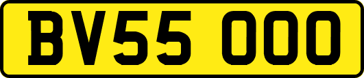 BV55OOO
