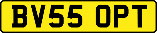 BV55OPT