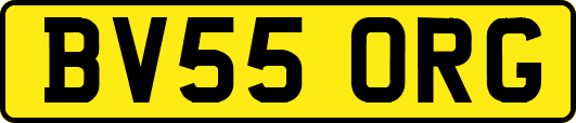 BV55ORG