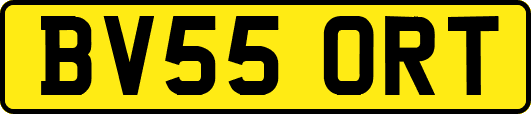 BV55ORT