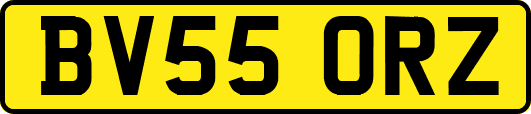 BV55ORZ