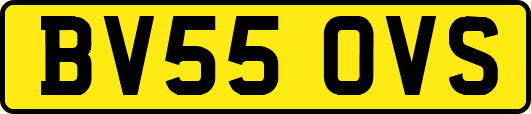 BV55OVS
