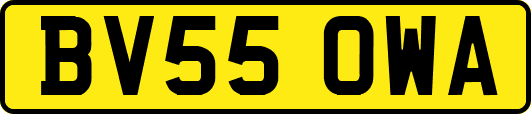 BV55OWA