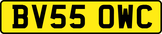 BV55OWC
