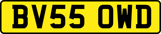 BV55OWD
