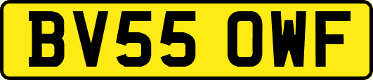BV55OWF