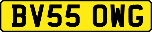 BV55OWG