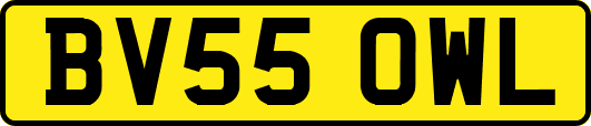 BV55OWL