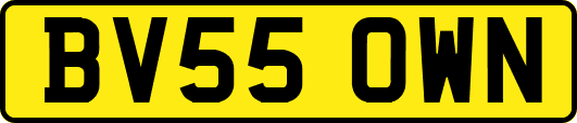 BV55OWN