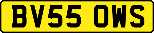BV55OWS