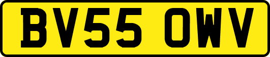 BV55OWV