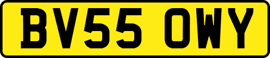 BV55OWY