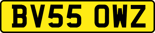 BV55OWZ
