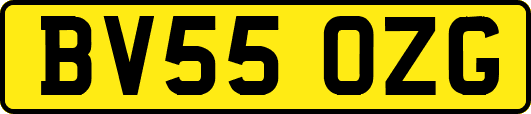 BV55OZG
