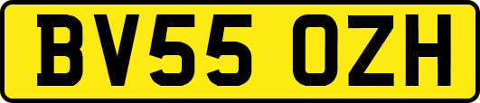 BV55OZH