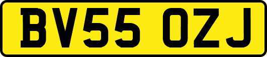 BV55OZJ