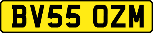 BV55OZM