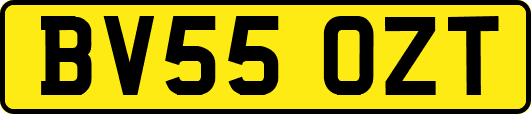 BV55OZT