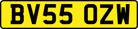 BV55OZW