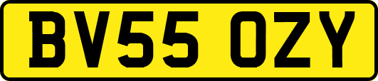 BV55OZY